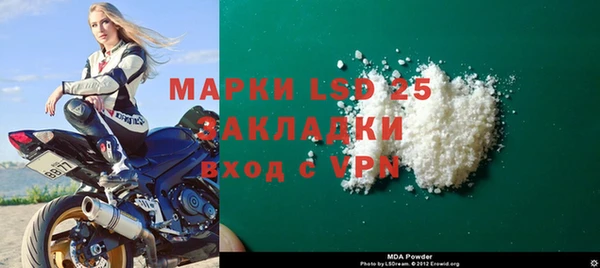 индика Зеленодольск