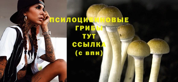 не бодяженный Зерноград