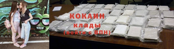 индика Зеленодольск