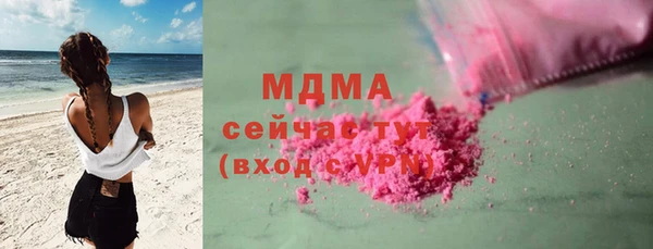 индика Зеленодольск