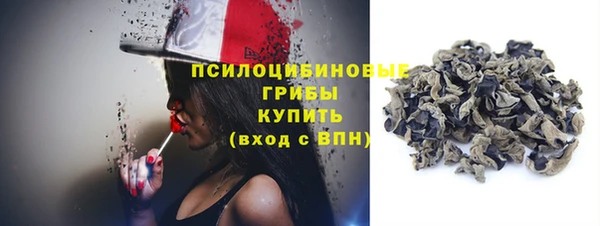 СК Новозыбков