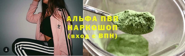 индика Зеленодольск