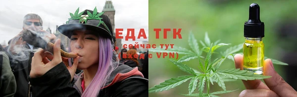 индика Зеленодольск