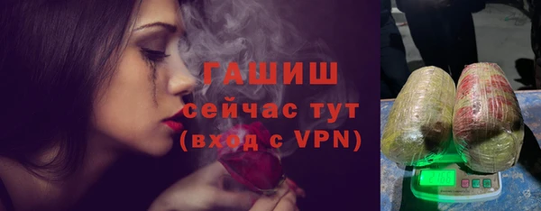 индика Зеленодольск