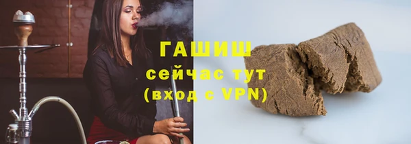 индика Зеленодольск