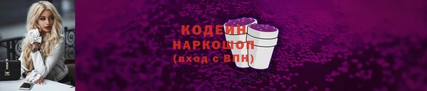 индика Зеленодольск