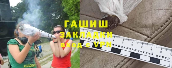 индика Зеленодольск