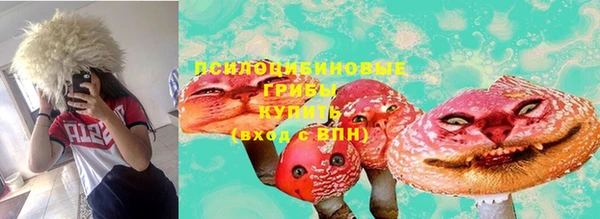 индика Зеленодольск
