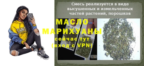 индика Зеленодольск