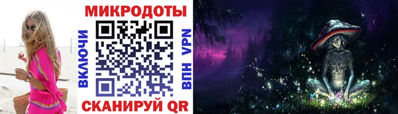 Купить где  Заречный  Псилоцибиновые грибы GOLDEN TEACHER 