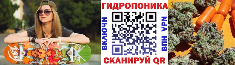Шишки марихуана индика  Купить закладки  Заречный 
